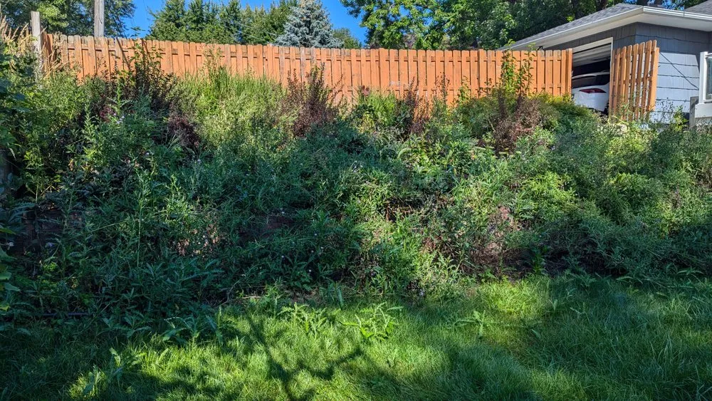 Expert yard cleanup service for residential properties across Maple Grove, MN - Sanvik Solutions