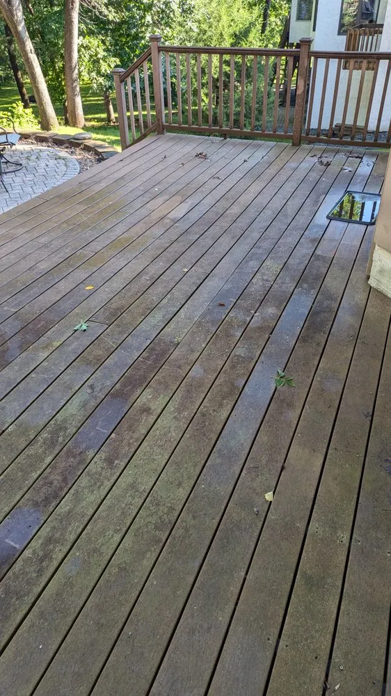 Affordable yard cleanup service for beautiful yards in Maple Grove, MN by Sanvik Solutions