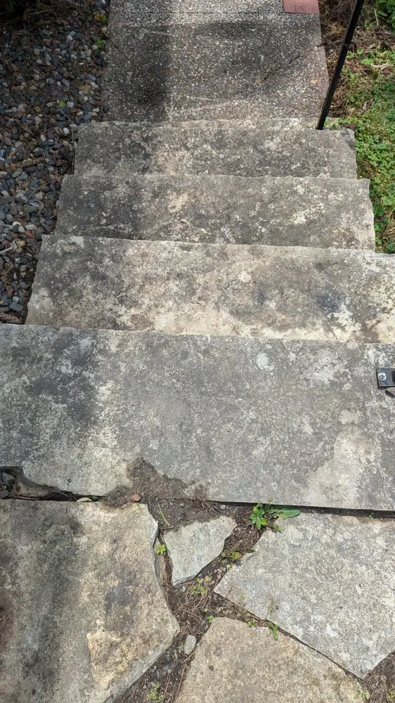 Professional residential landscaping in Maple Grove, MN - Sanvik Solutions