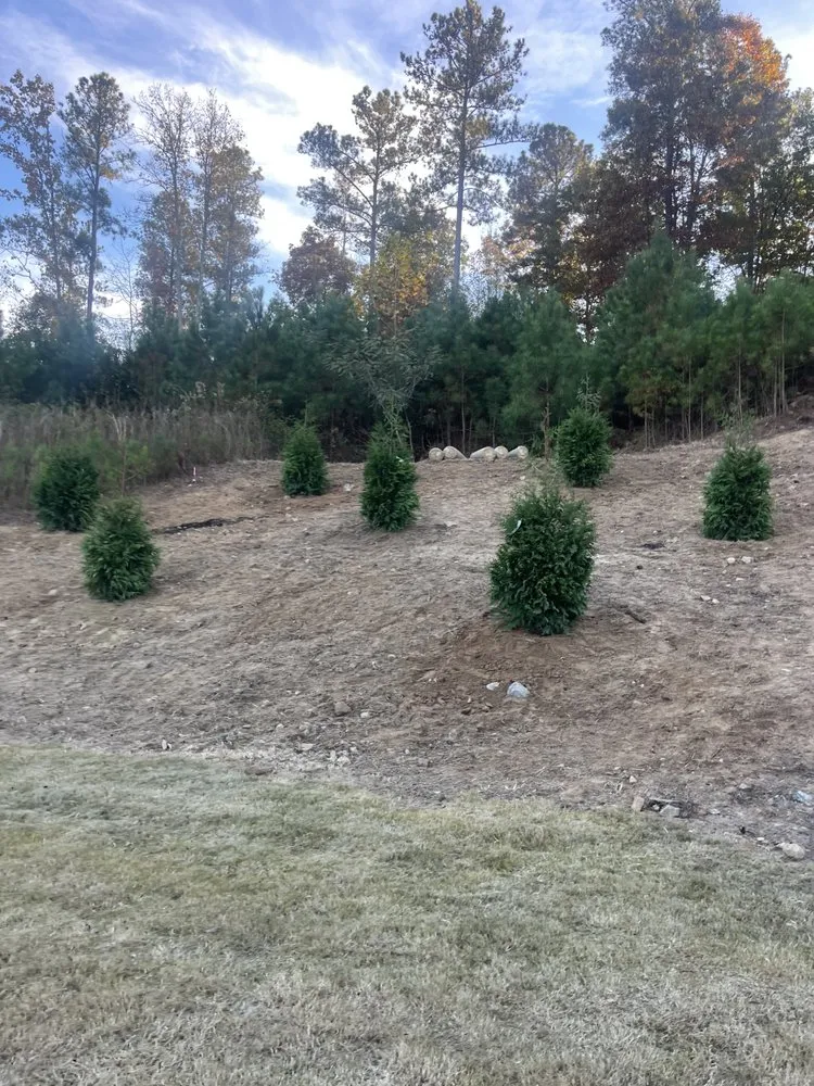 Local lawn mowing service experts serving Marietta, GA - Sapo landscape