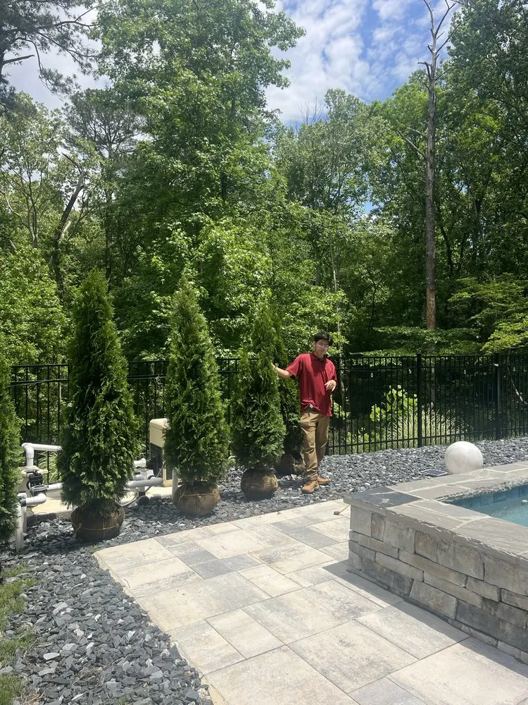 Reliable yard maintenance for residential properties across Marietta, GA - Sapo landscape