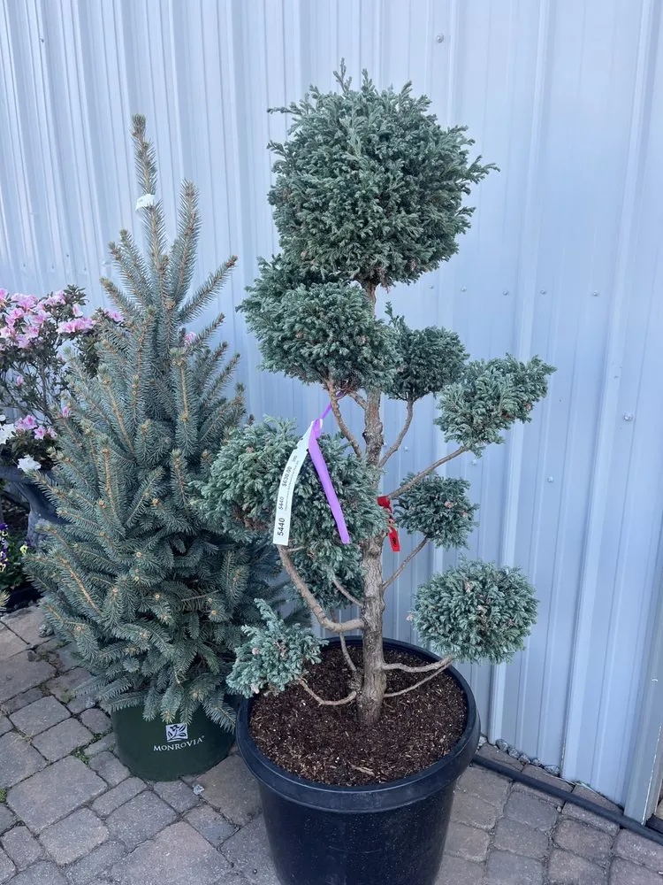 Professional residential landscaping in Marietta, GA by Sapo landscape