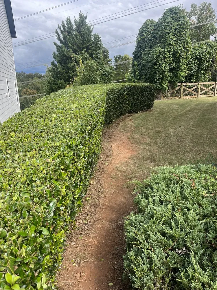 Top-rated lawn mowing service for homes across Marietta, GA - Sapo landscape