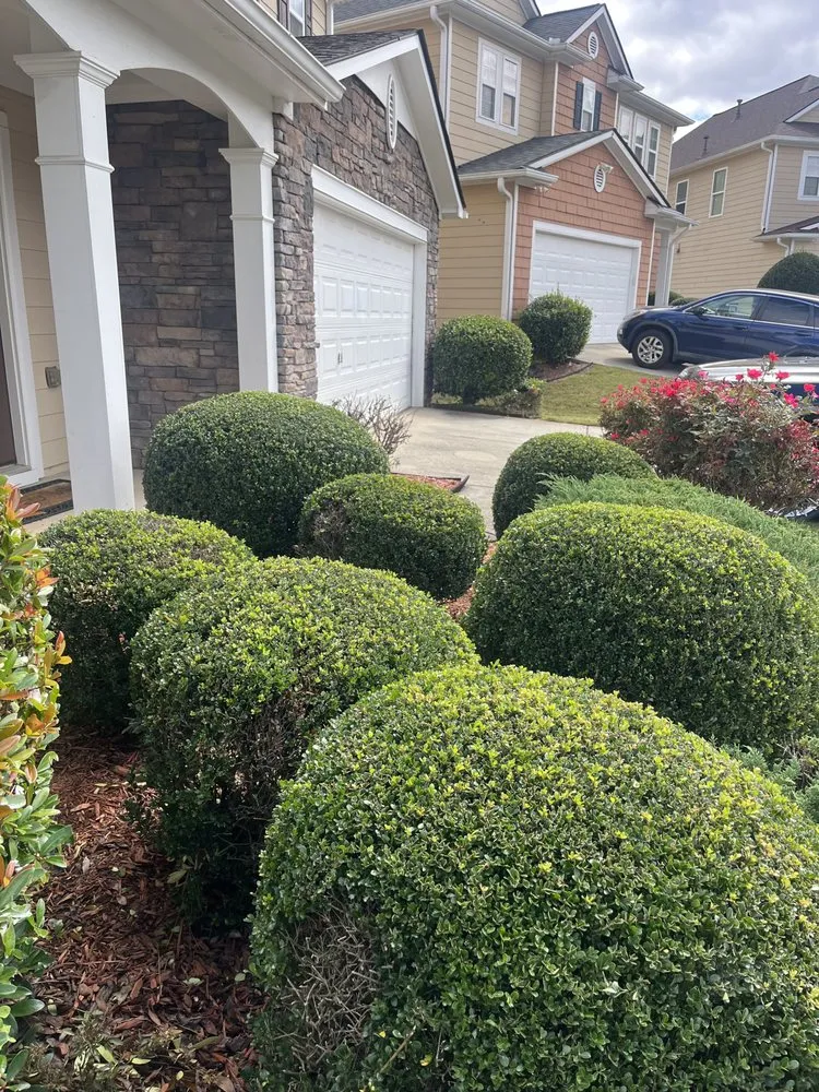 Expert landscaping services experts serving Marietta, GA - Sapo landscape