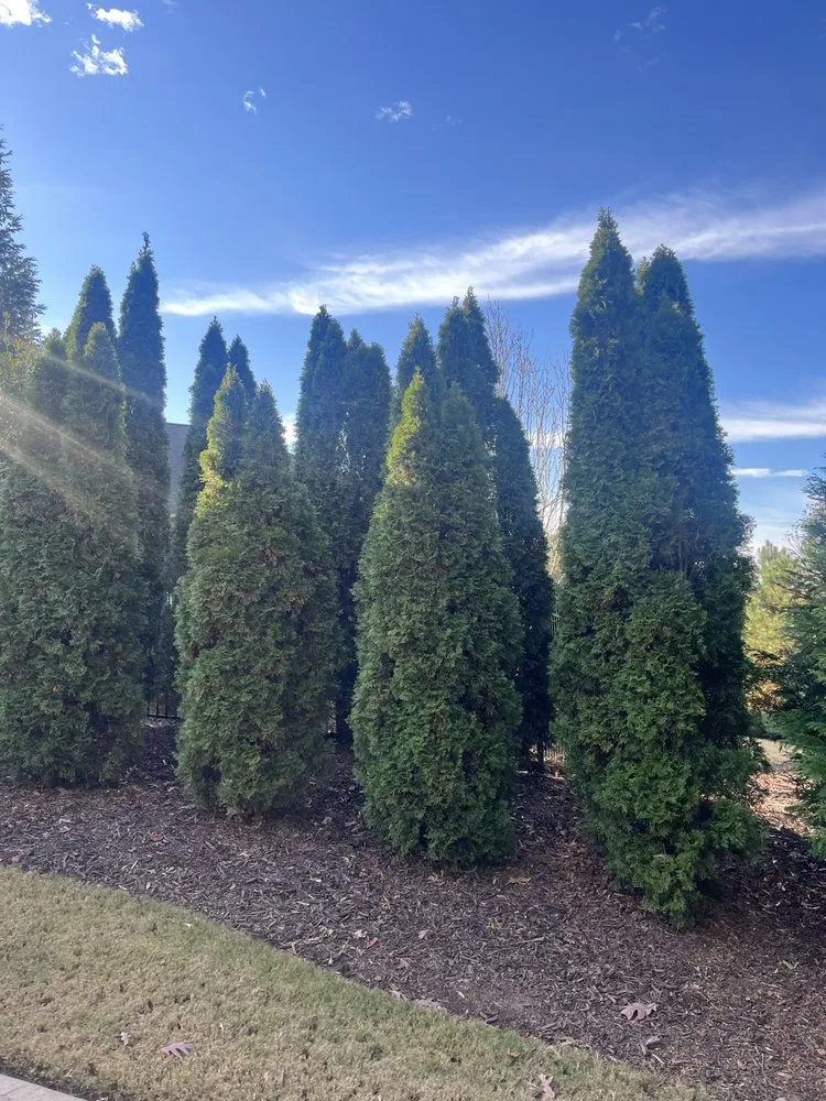 Affordable landscape installation in Marietta, GA by Sapo landscape