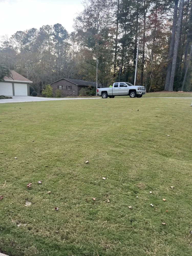 Professional yard maintenance in Marietta, GA - Sapo landscape