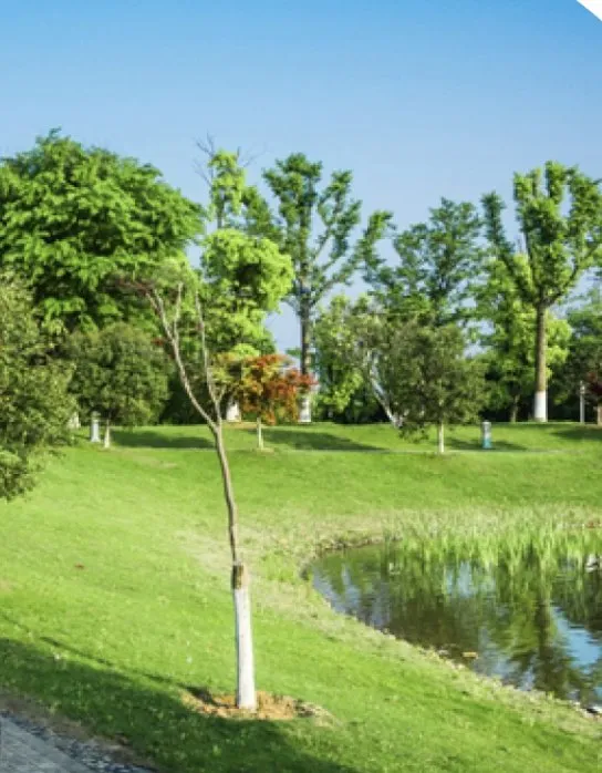 Custom lawn care service experts serving Pecos, NM - Sapo Landscaping