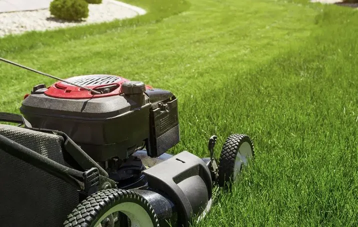 Affordable yard maintenance with custom design across Pecos, NM - Sapo Landscaping