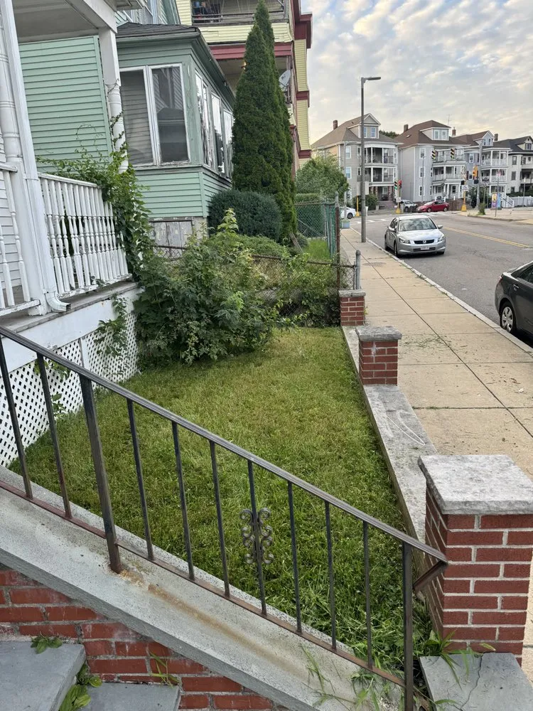 Expert landscape design for outdoor upgrades across Boston, MA - Sapphire Landscaping