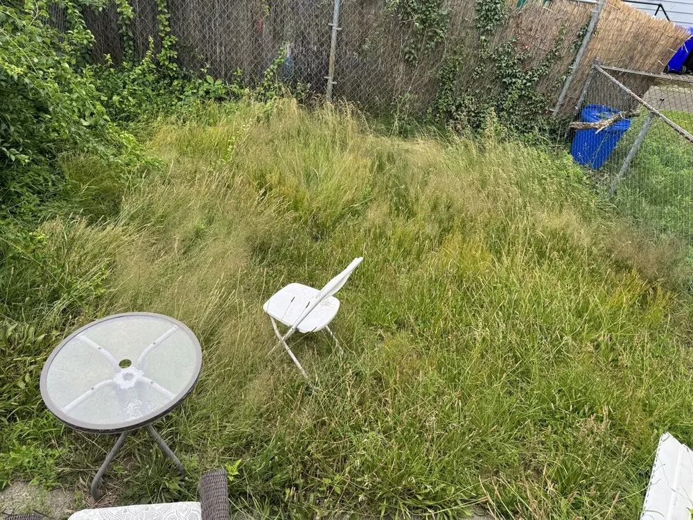 Trusted landscape installation for outdoor upgrades in Boston, MA by Sapphire Landscaping