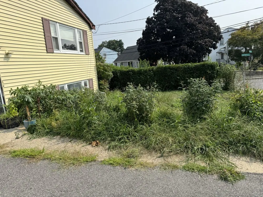 Custom yard cleanup service for homes in Boston, MA by Sapphire Landscaping