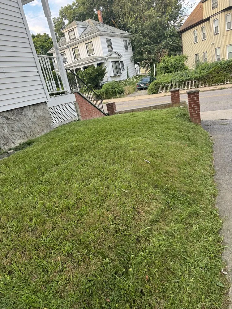 Custom landscape design in Boston, MA by Sapphire Landscaping