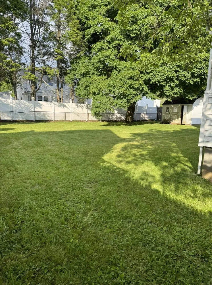 Reliable residential landscaping for homes across Boston, MA - Sapphire Landscaping