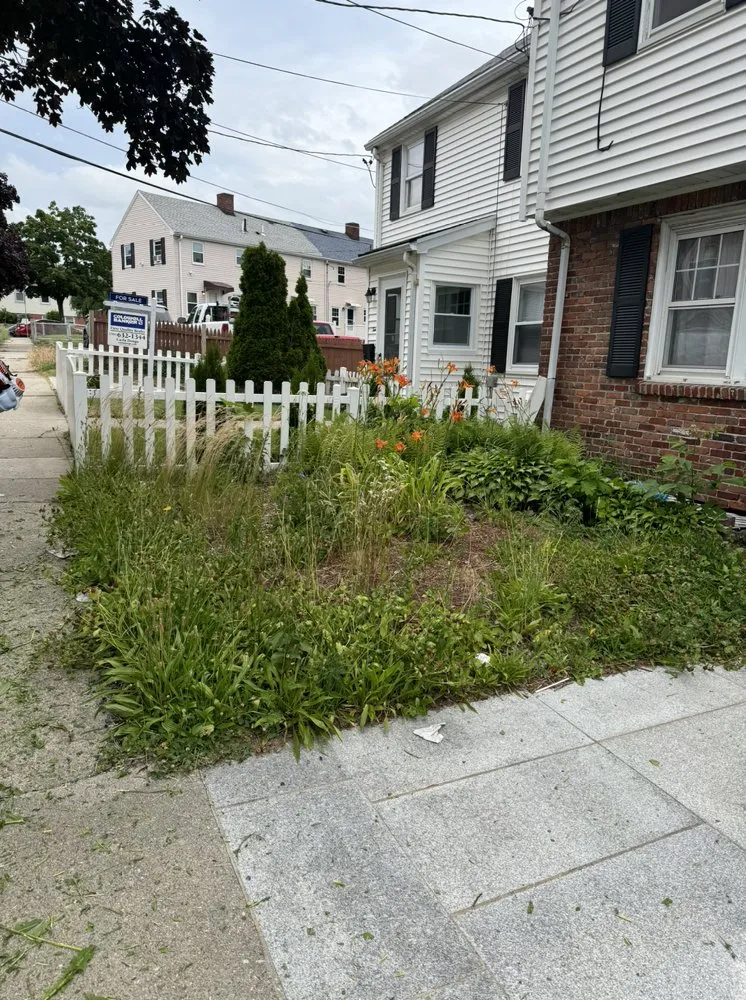 Local lawn mowing service for outdoor upgrades across Boston, MA - Sapphire Landscaping