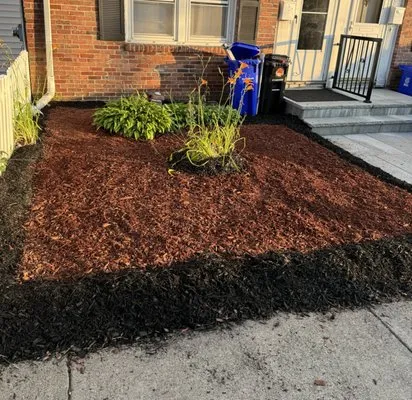 Sapphire Landscaping Logo