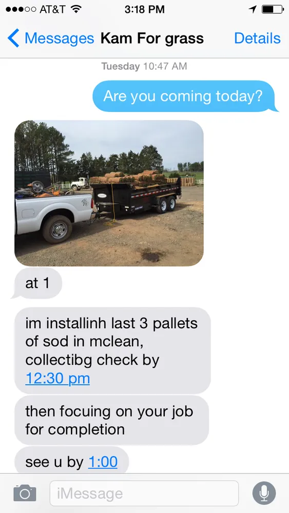 Affordable yard cleanup service in Fairfax, VA by Sapphire Landscaping