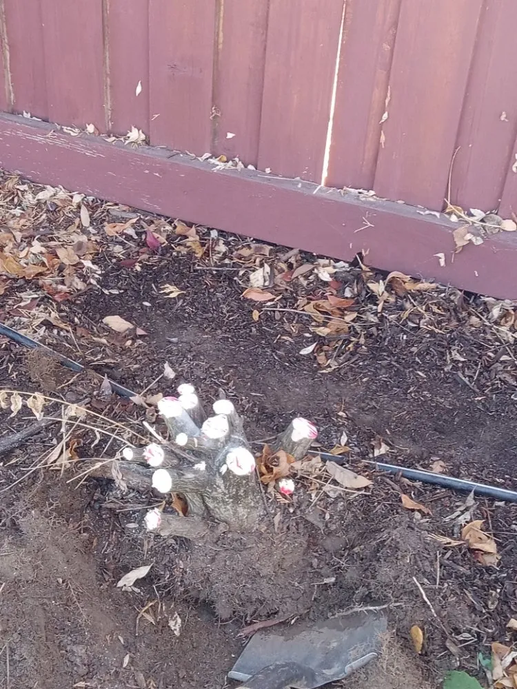 Top-rated landscape design for residential properties in Kuna, ID by Sapphire Lawn Services