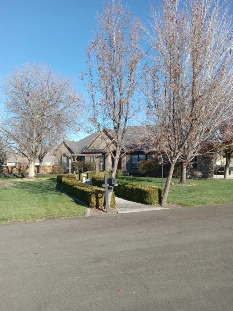 Top-rated yard cleanup service experts serving Kuna, ID - Sapphire Lawn Services