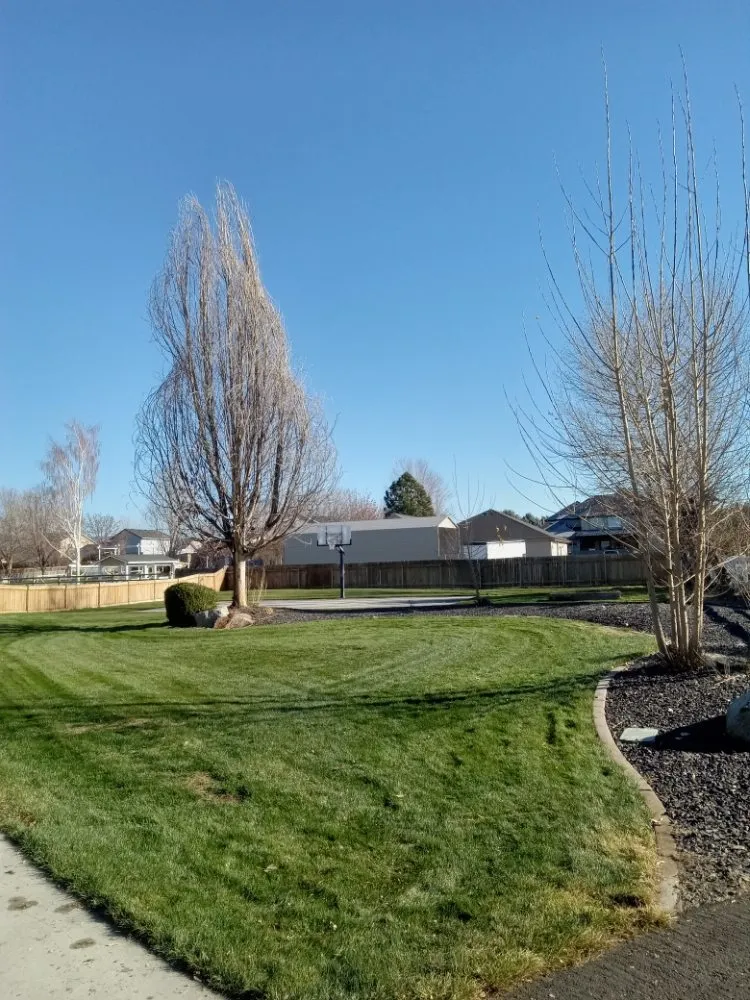 Affordable outdoor landscaping in Kuna, ID - Sapphire Lawn Services