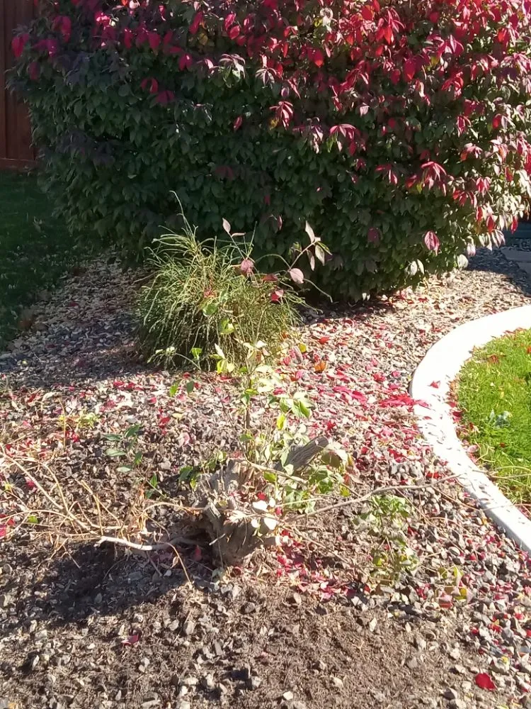 Reliable yard maintenance in Kuna, ID - Sapphire Lawn Services