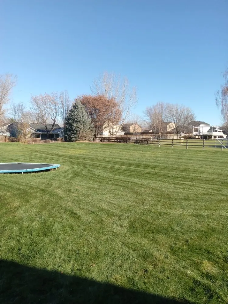 Reliable landscape installation for beautiful yards in Kuna, ID by Sapphire Lawn Services