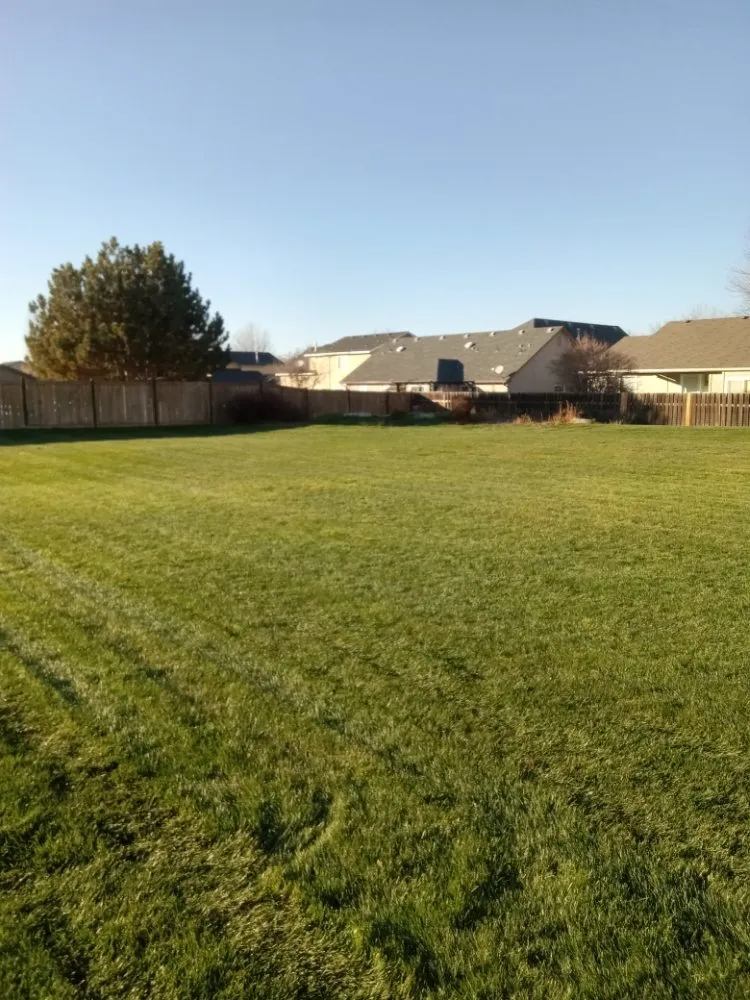 Custom outdoor landscaping with custom design across Kuna, ID - Sapphire Lawn Services