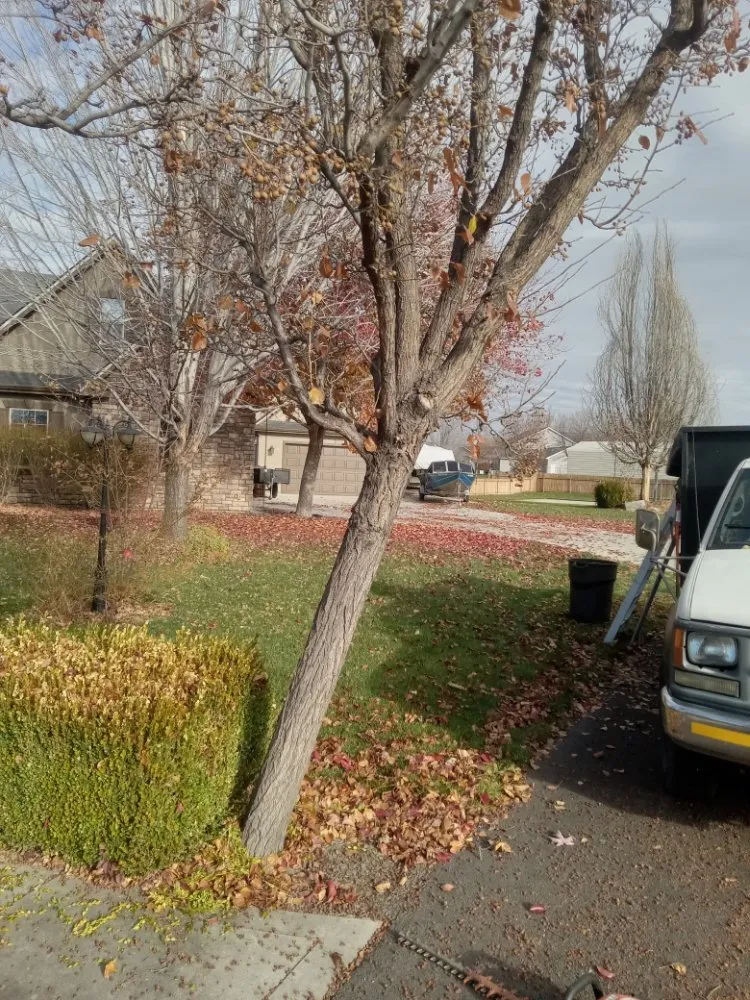 Professional lawn care service in Kuna, ID - Sapphire Lawn Services