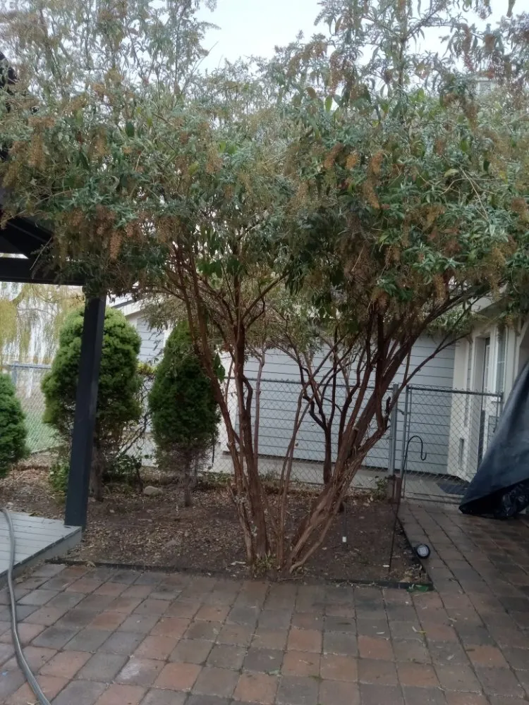 Expert landscaping services in Kuna, ID - Sapphire Lawn Services