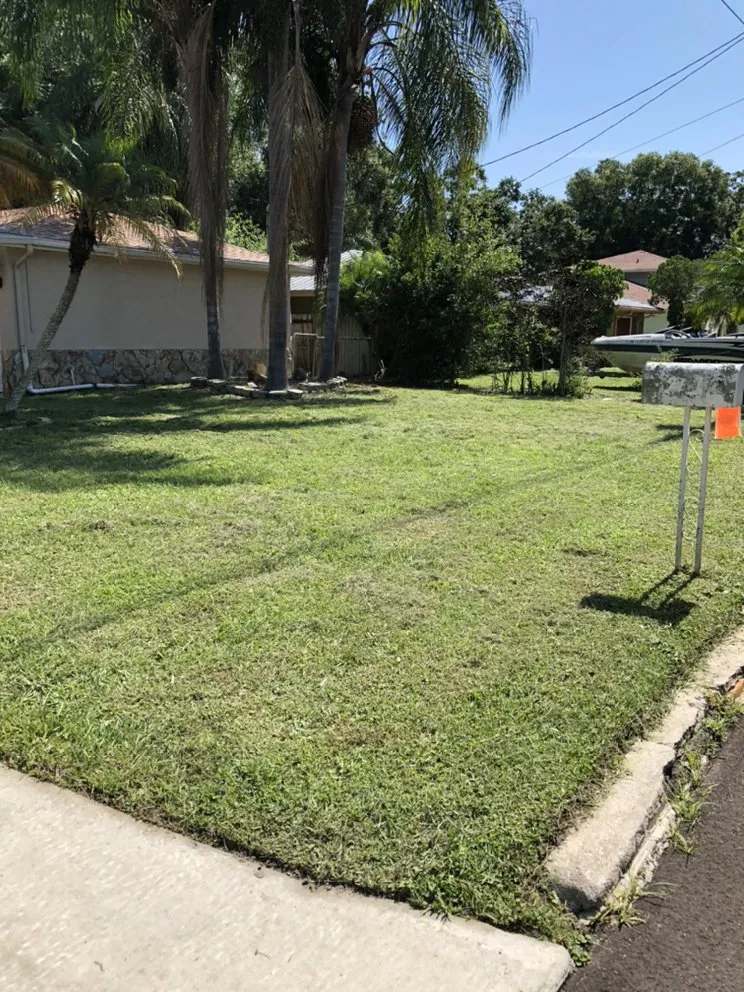 Custom landscape design experts serving Tampa, FL - Sapphire Lawncare