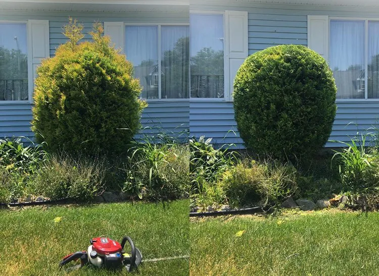 Local lawn care service with custom design in Cleveland, OH by Sapp’s Lawn Maintenance