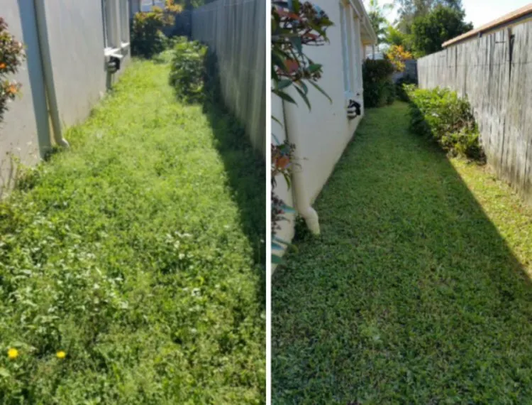 Local yard maintenance in Cleveland, OH by Sapp’s Lawn Maintenance