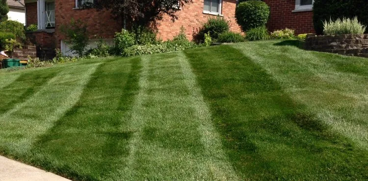 Custom yard maintenance for outdoor upgrades in Cleveland, OH by Sapp’s Lawn Maintenance