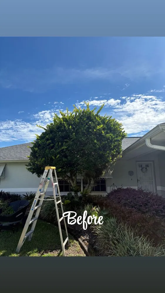 Reliable yard maintenance for homes in Sebring, FL by Sapp's property management
