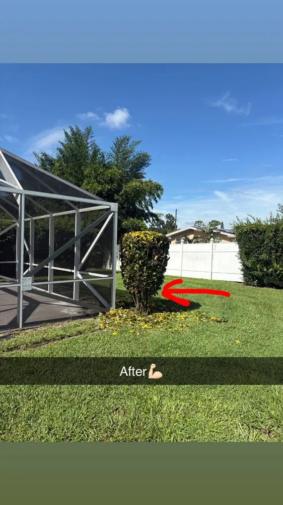 Expert landscape installation for outdoor upgrades in Sebring, FL by Sapp's property management