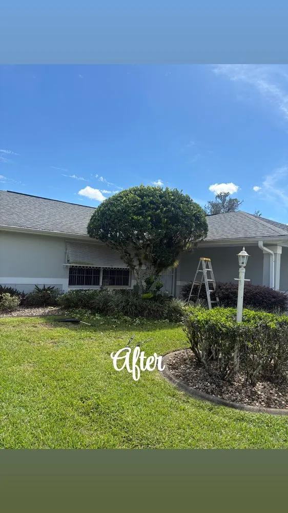 Custom outdoor landscaping in Sebring, FL by Sapp's property management