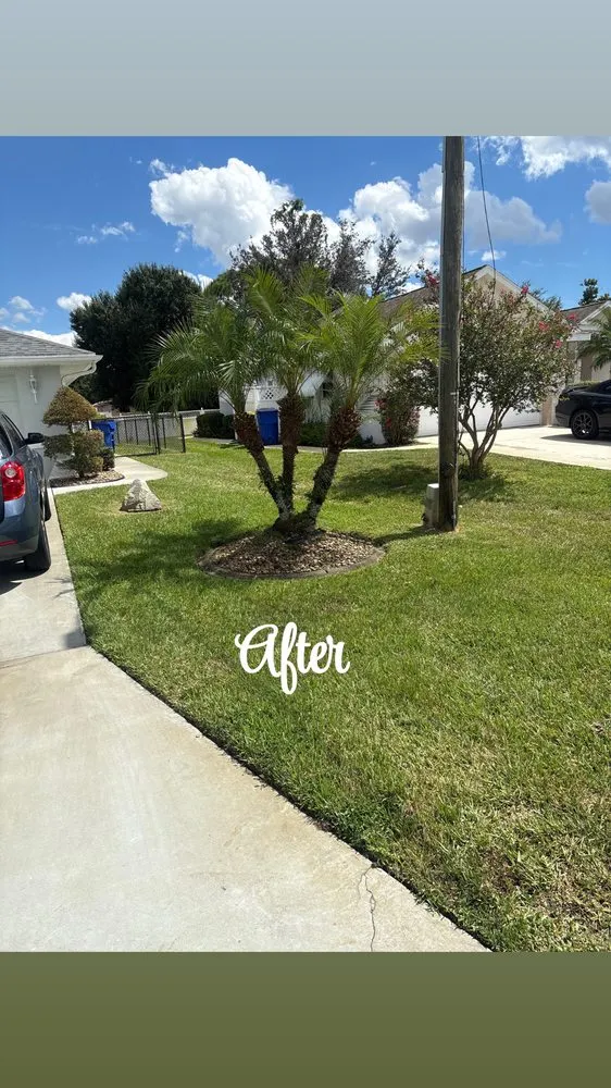 Affordable residential landscaping near you in Sebring, FL by Sapp's property management