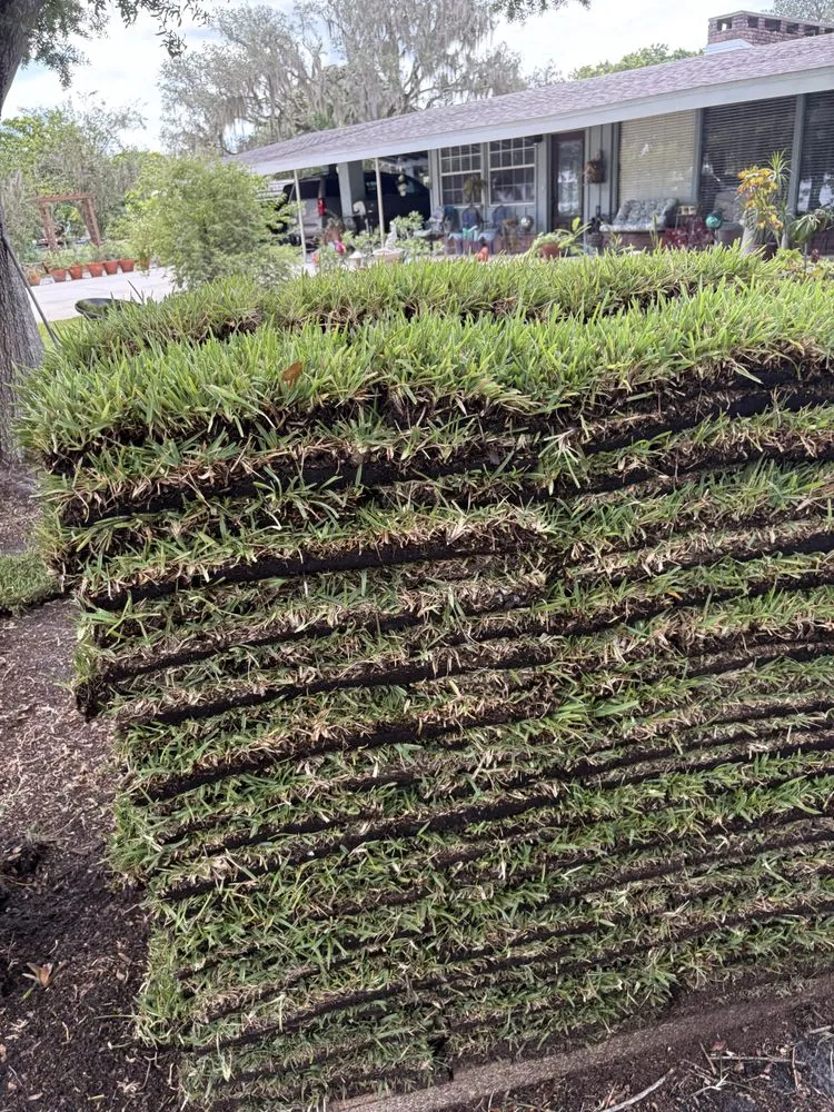 Custom yard maintenance for outdoor upgrades in Sebring, FL by Sapp's property management