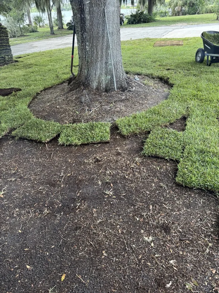 Expert lawn mowing service for homes in Sebring, FL by Sapp's property management