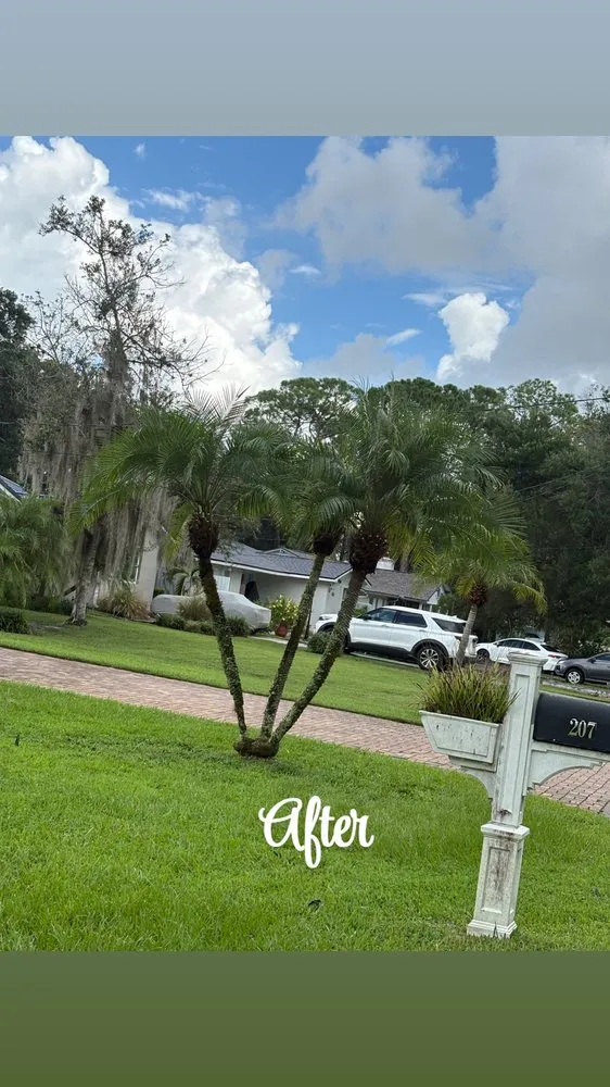 Top-rated garden landscaping experts serving Sebring, FL - Sapp's property management