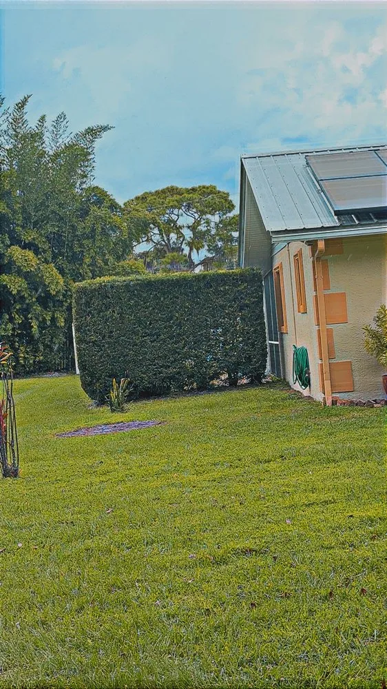 Professional yard cleanup service for outdoor upgrades in Sebring, FL by Sapp's property management