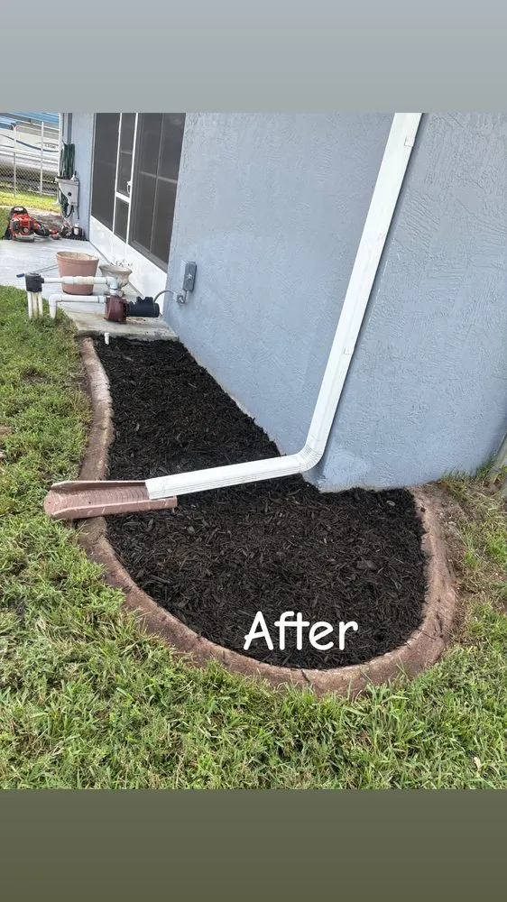 Professional yard cleanup service in Sebring, FL - Sapp's property management