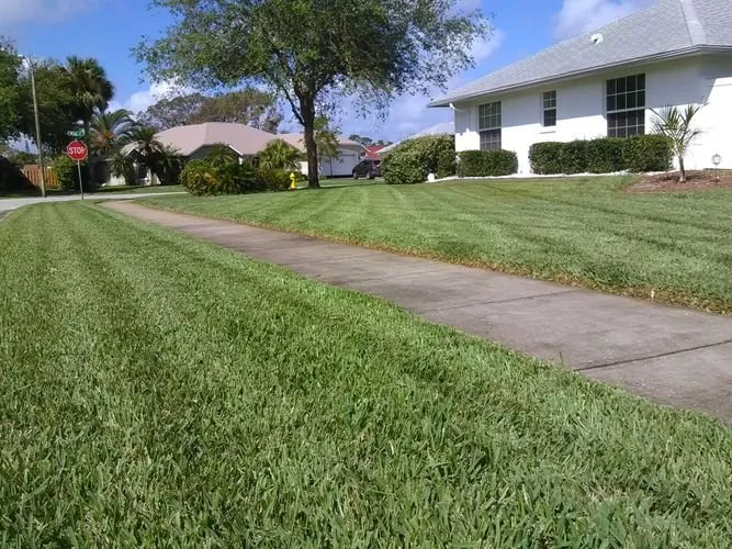 Reliable lawn mowing service experts serving Ormond Beach, FL - Sapsford Landscaping
