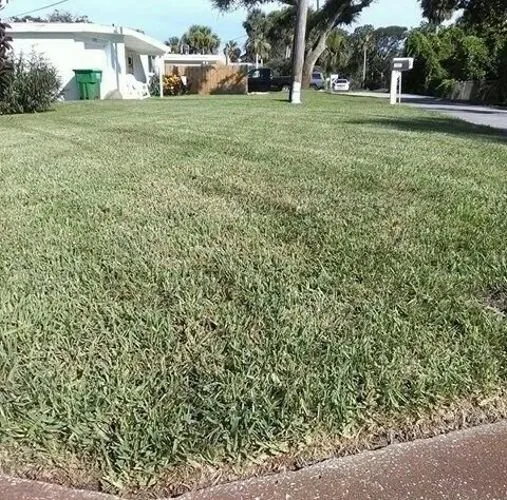 Custom residential landscaping in Ormond Beach, FL - Sapsford Landscaping