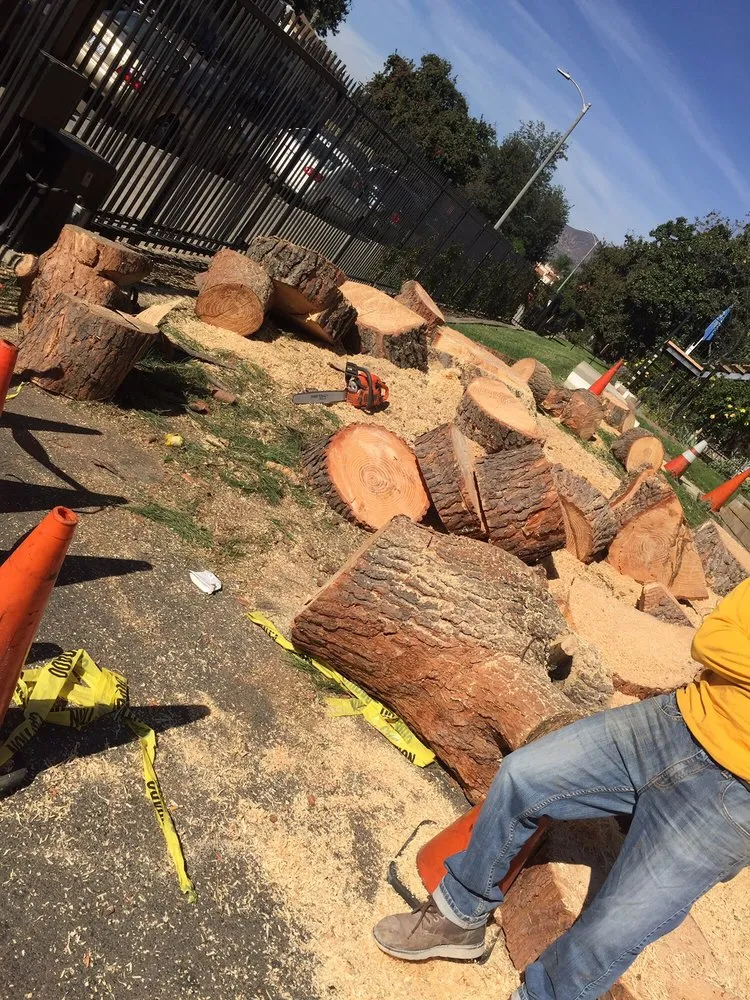 Custom landscape design for outdoor upgrades across San Fernando, CA - Sapwood Tree Care And Landscape