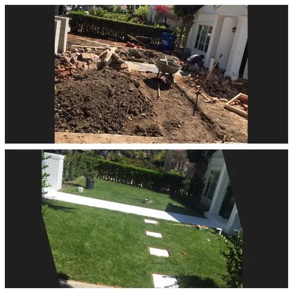 Top-rated garden landscaping in San Fernando, CA - Sapwood Tree Care And Landscape