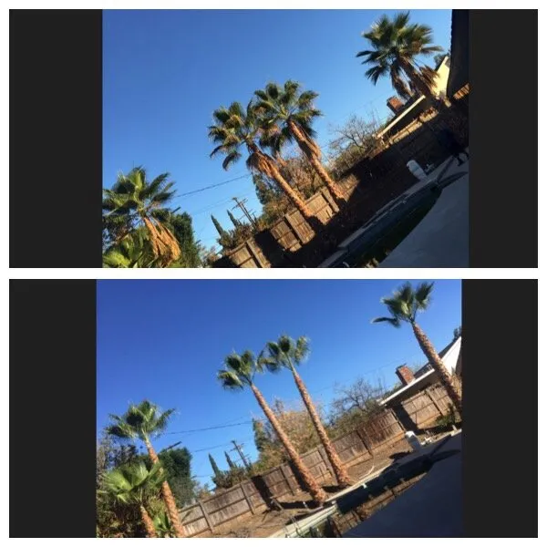 Custom landscape design experts serving San Fernando, CA - Sapwood Tree Care And Landscape