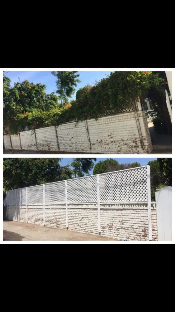 Top-rated residential landscaping for beautiful yards across San Fernando, CA - Sapwood Tree Care And Landscape