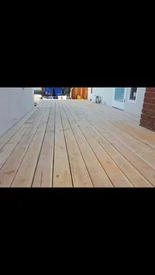 Sapwood Tree Care And Landscape Logo