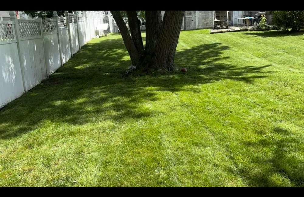 Expert lawn care service for residential properties across New Bedford, MA - Saqueo Chach Landscaping