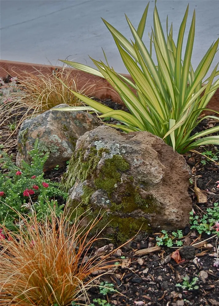 Expert outdoor landscaping experts serving Berkeley, CA - Sarah Herman Landscape Design